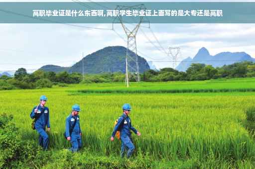 高职毕业证是什么东西啊,高职学生毕业证上面写的是大专还是高职