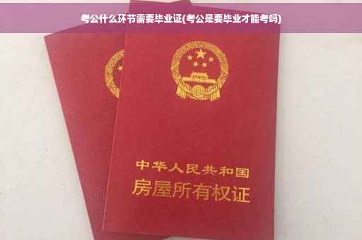 考公什么环节需要毕业证(考公是要毕业才能考吗)