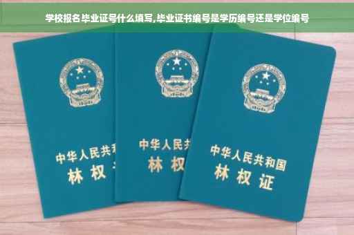 学校报名毕业证号什么填写,毕业证书编号是学历编号还是学位编号