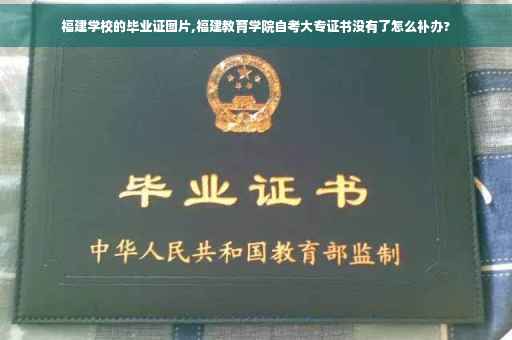 福建学校的毕业证图片,福建教育学院自考大专证书没有了怎么补办?