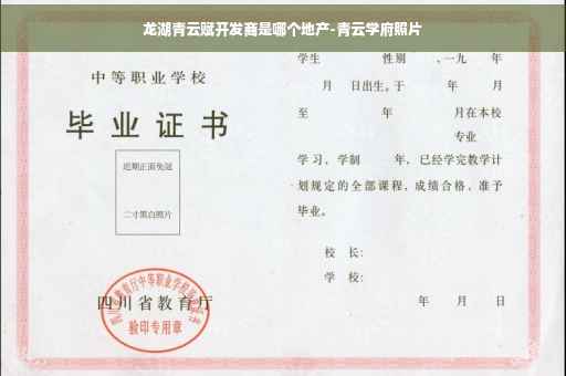 龙湖青云赋开发商是哪个地产-青云学府照片