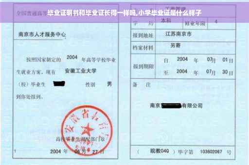 毕业证明书和毕业证长得一样吗,小学毕业证是什么样子