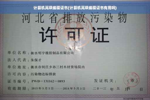 计算机高级编程证书(计算机高级编程证书有用吗)