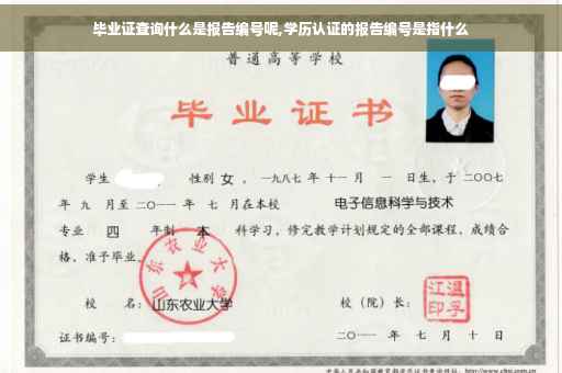 毕业证查询什么是报告编号呢,学历认证的报告编号是指什么