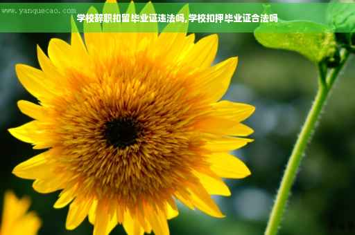 学校辞职扣留毕业证违法吗,学校扣押毕业证合法吗
