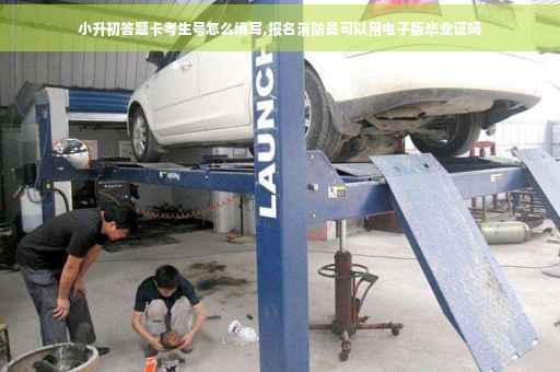 小升初答题卡考生号怎么填写,报名消防员可以用电子版毕业证吗