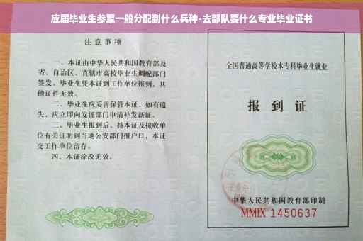 应届毕业生参军一般分配到什么兵种-去部队要什么专业毕业证书