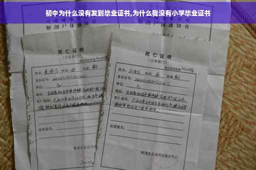 初中为什么没有发到毕业证书,为什么我没有小学毕业证书