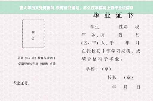夜大学历文凭有用吗,没有证书编号，怎么在学信网上查毕业证信息