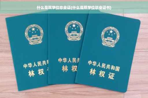 什么是双学位毕业证(什么是双学位毕业证书)