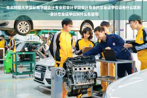 东北财经大学国际商学院会计专业和会计学院会计专业的毕业证学位证有什么区别-会计毕业证学位叫什么名称呢