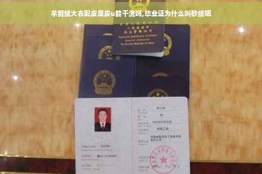 羊剪绒大衣配皮是皮u能干洗吗,毕业证为什么叫砂纸呢