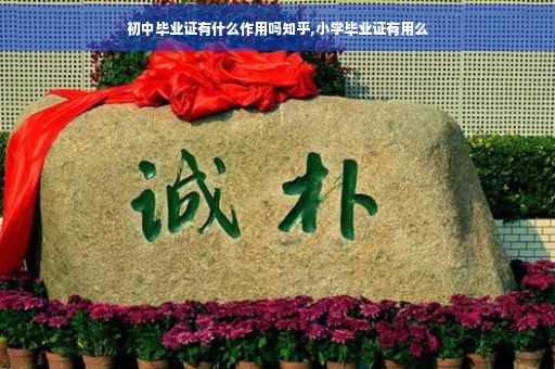初中毕业证有什么作用吗知乎,小学毕业证有用么