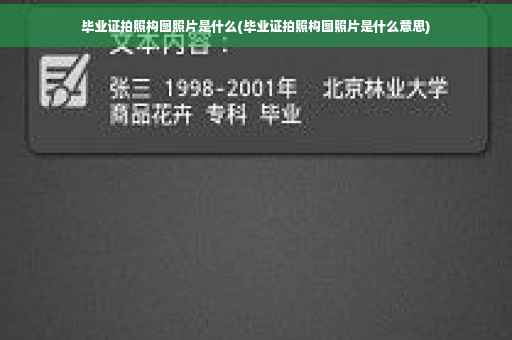 毕业证拍照构图照片是什么(毕业证拍照构图照片是什么意思)