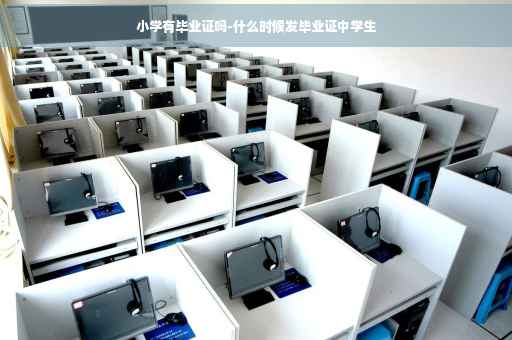 小学有毕业证吗-什么时候发毕业证中学生