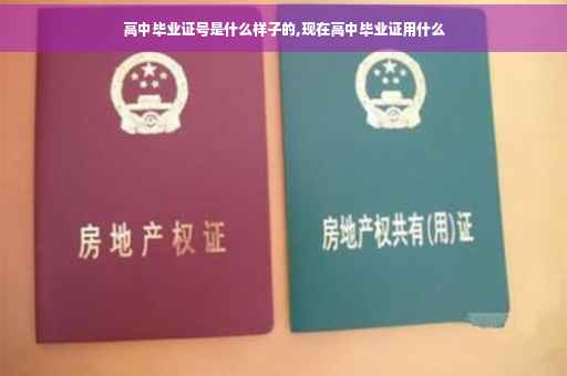 高中毕业证号是什么样子的,现在高中毕业证用什么