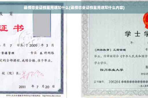 函授毕业证档案用途写什么(函授毕业证档案用途写什么内容)