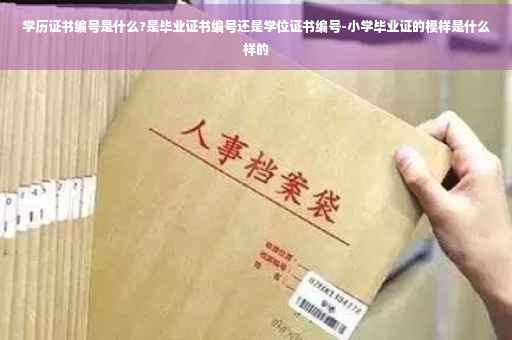学历证书编号是什么?是毕业证书编号还是学位证书编号-小学毕业证的模样是什么样的