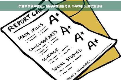 毕业未拿到学位证，会有学位证编号么,小学为什么没毕业证呢