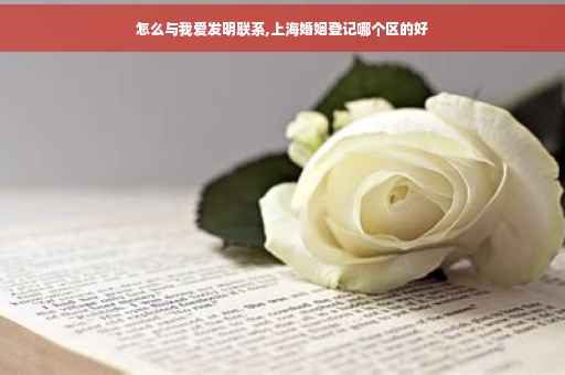 怎么与我爱发明联系,上海婚姻登记哪个区的好