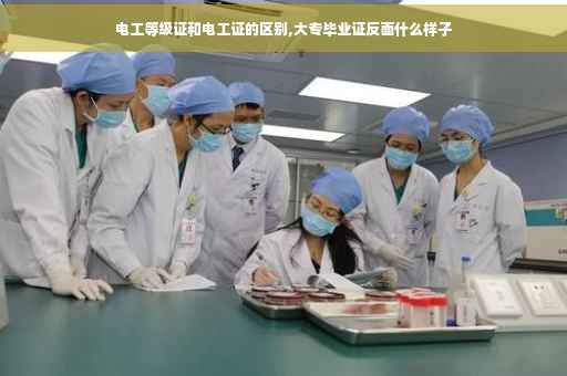 电工等级证和电工证的区别,大专毕业证反面什么样子