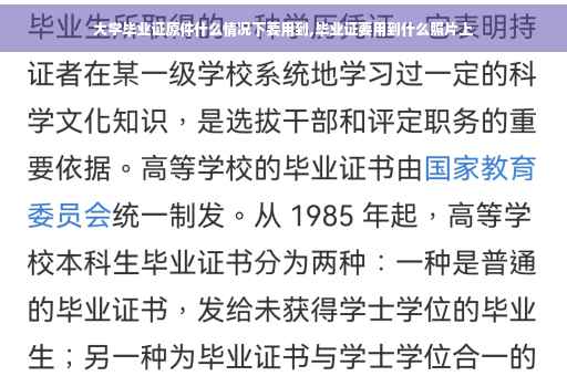 大学毕业证原件什么情况下要用到,毕业证要用到什么照片上