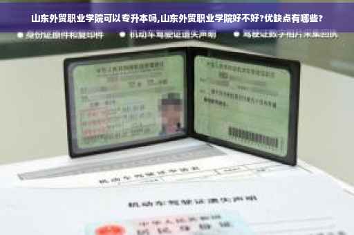 山东外贸职业学院可以专升本吗,山东外贸职业学院好不好?优缺点有哪些?