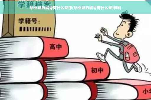 毕业证的编号有什么规律(毕业证的编号有什么规律吗)