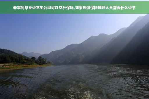 未拿到毕业证学生公司可以交社保吗,如果想做保险理赔人员需要什么证书