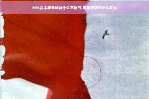 当兵武术毕业证算什么学历的,省体校毕业什么文凭