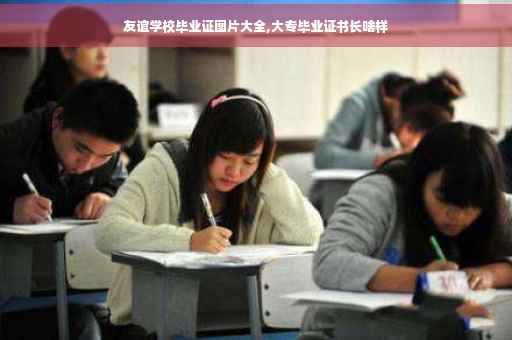 友谊学校毕业证图片大全,大专毕业证书长啥样