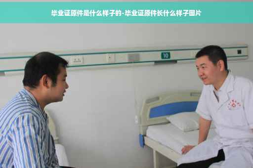 毕业证原件是什么样子的-毕业证原件长什么样子图片