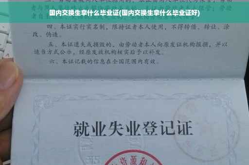 国内交换生拿什么毕业证(国内交换生拿什么毕业证好)
