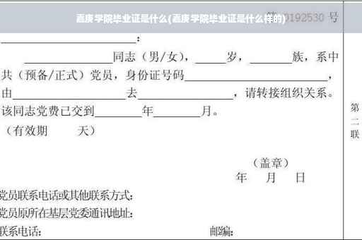 嘉庚学院毕业证是什么(嘉庚学院毕业证是什么样的)