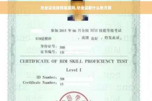毕业证会放档案里吗,毕业证都什么地方用