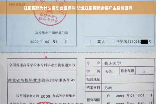 迁回原籍为什么要毕业证原件,毕业迁回原籍需要户主身份证吗