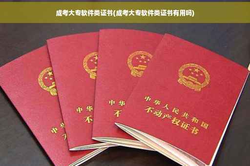 成考大专软件类证书(成考大专软件类证书有用吗)