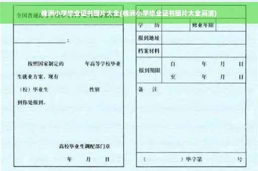 株洲小学毕业证书图片大全(株洲小学毕业证书图片大全高清)