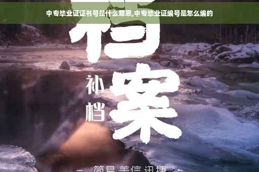 中专毕业证证书号是什么意思,中专毕业证编号是怎么编的