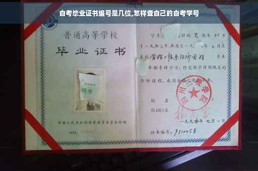 自考毕业证书编号是几位,怎样查自己的自考学号