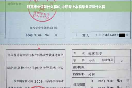 职高毕业证是什么样的,中职考上本科毕业证是什么样