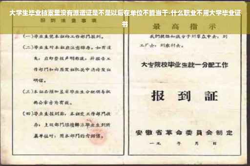 大学生毕业档案里没有派遣证是不是以后在单位不能当干-什么职业不用大学毕业证书