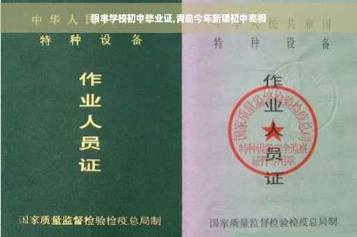 银丰学校初中毕业证,青岛今年新建初中亮相