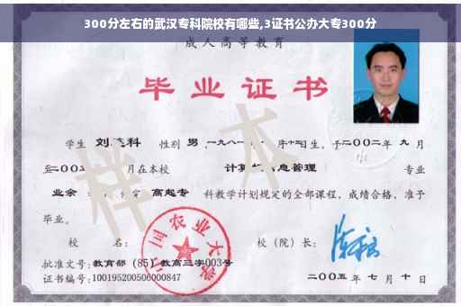 300分左右的武汉专科院校有哪些,3证书公办大专300分