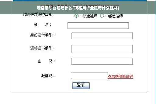 现在用毕业证考什么(现在用毕业证考什么证书)