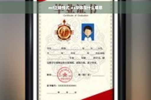 mf正确格式,es字体是什么意思