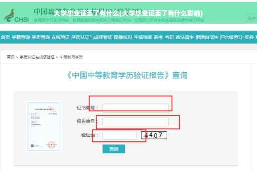 大学毕业证丢了有什么(大学毕业证丢了有什么影响)