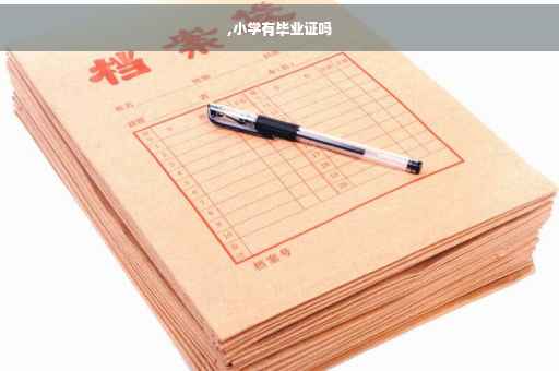,小学有毕业证吗