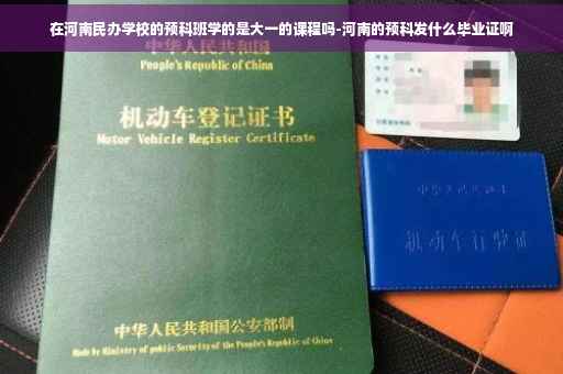 在河南民办学校的预科班学的是大一的课程吗-河南的预科发什么毕业证啊