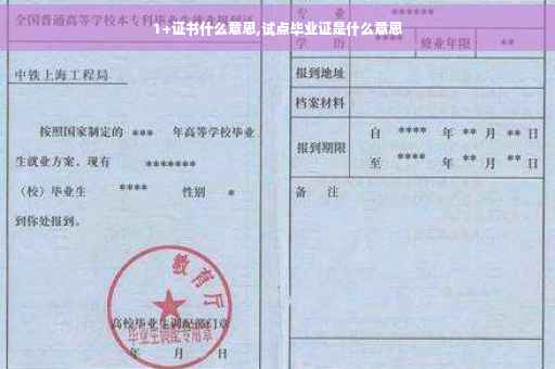 1+证书什么意思,试点毕业证是什么意思